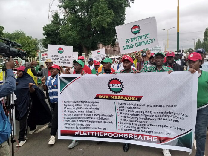 IMG_20230802_090219_707