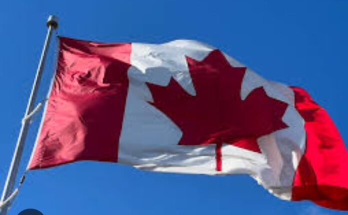 Screenshot_20230803-224957~2